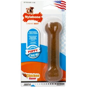 Nylabone Puppybone Chew Toy