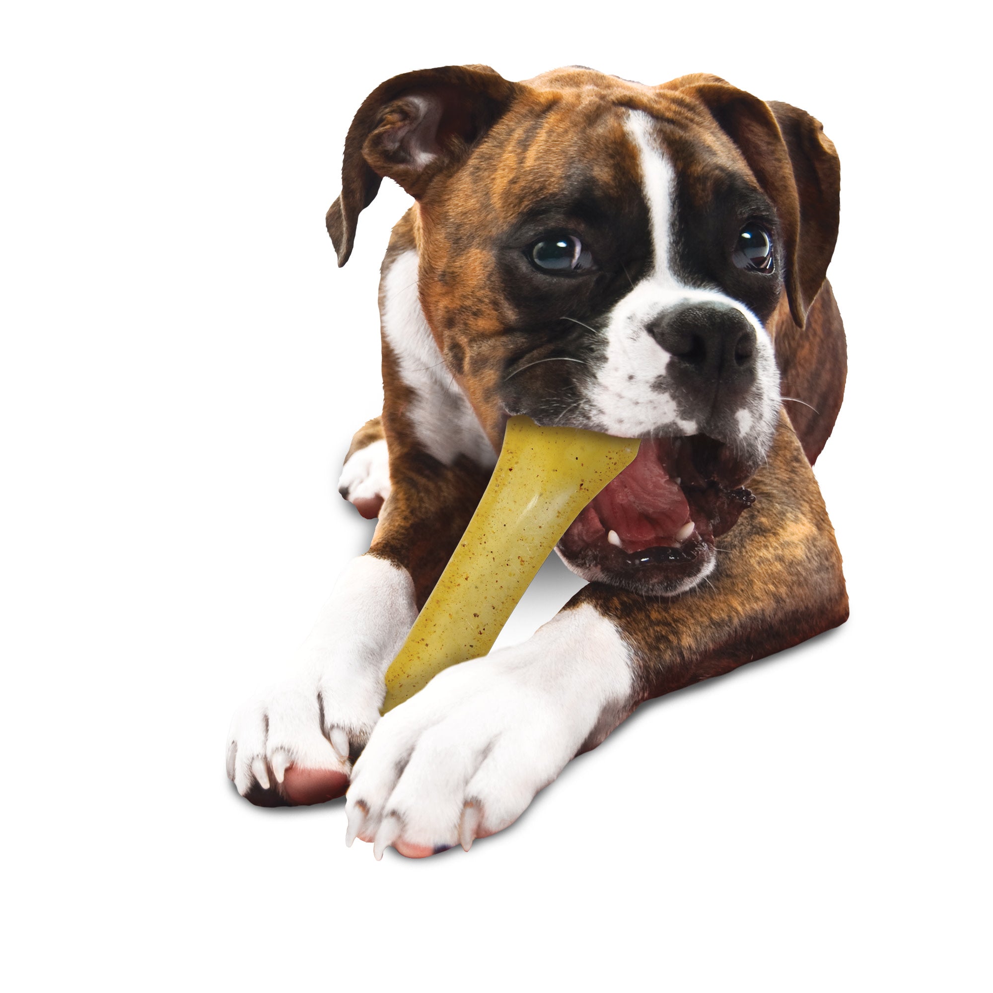 Nylabone Moderate Chew Chicken Chew Toy, XL/Souper - Image 2