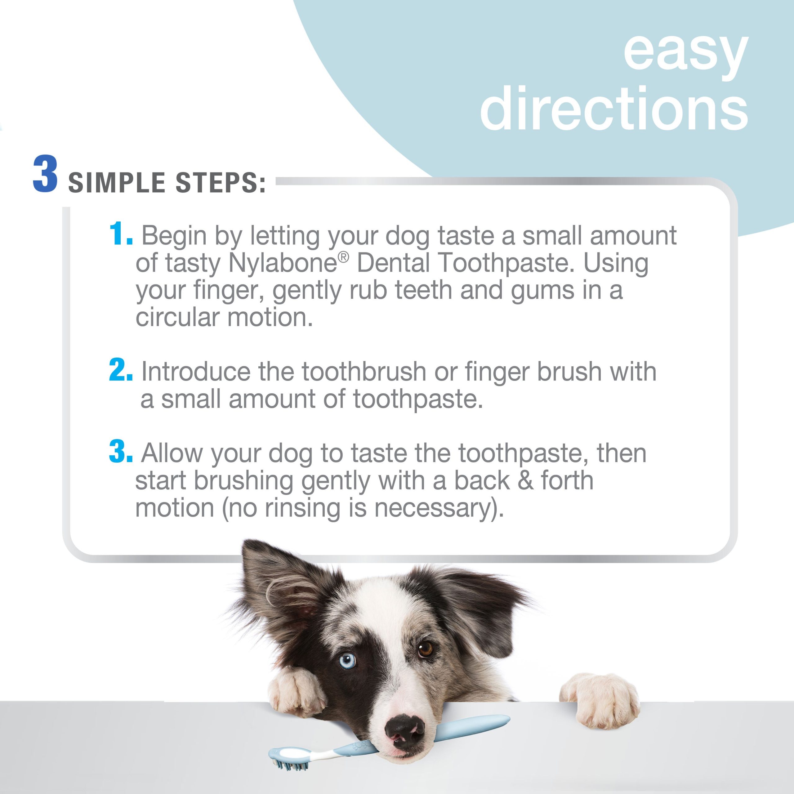 Nylabone Advanced Oral Care Tartar Control Toothpaste - Image 3
