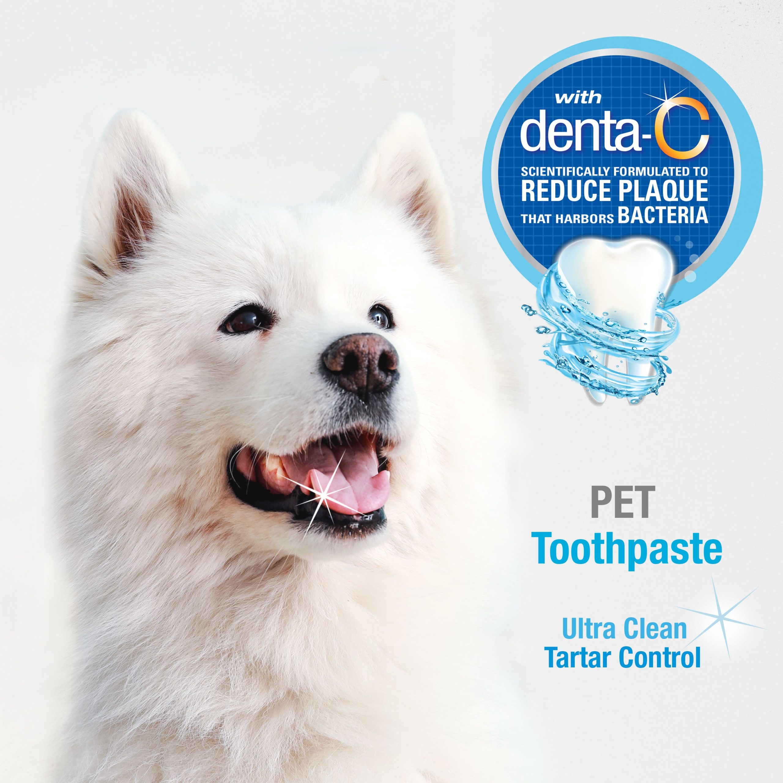 Nylabone Advanced Oral Care Tartar Control Toothpaste - Image 4