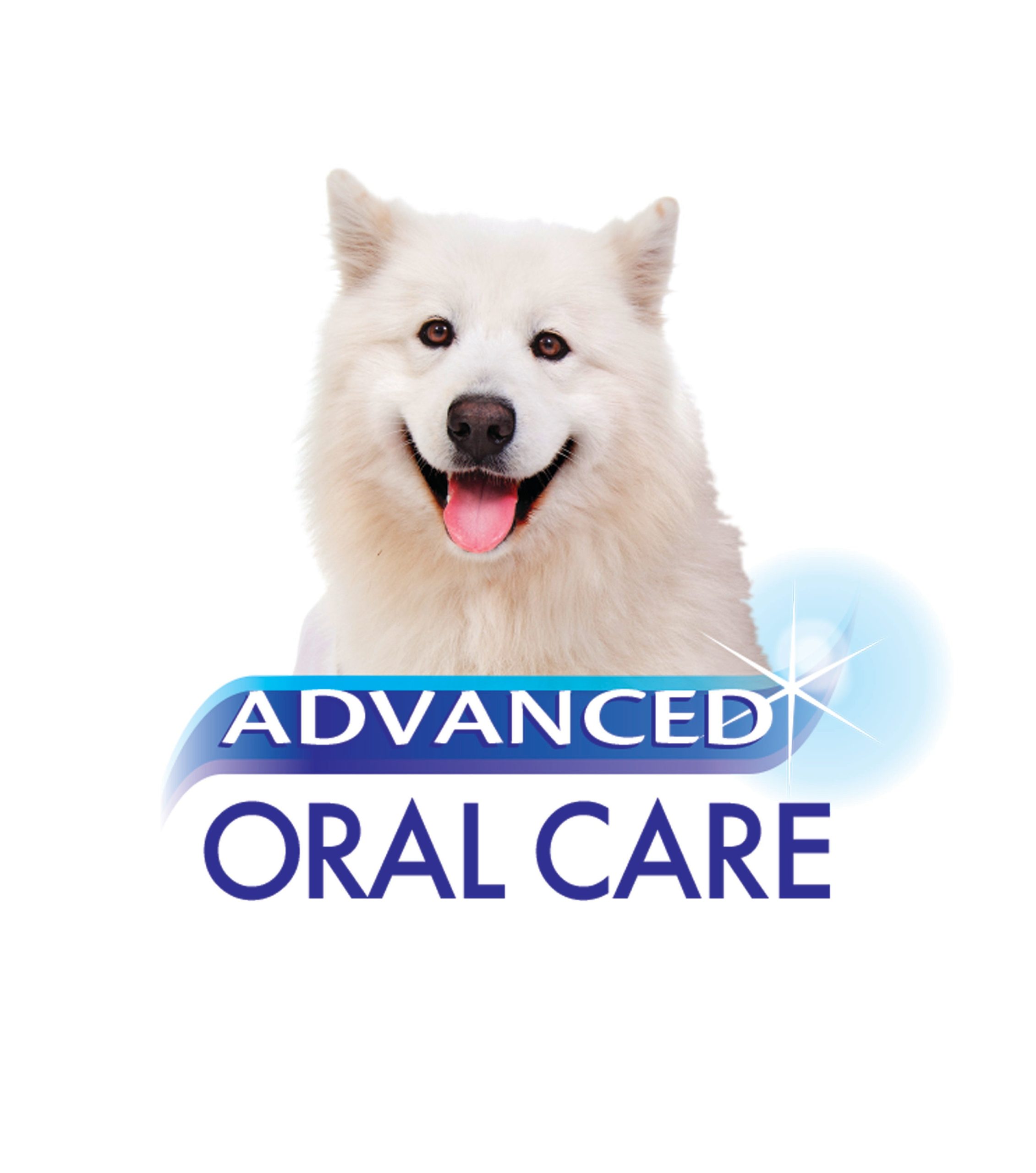 Nylabone Advanced Oral Care Natural Toothpaste - Image 5