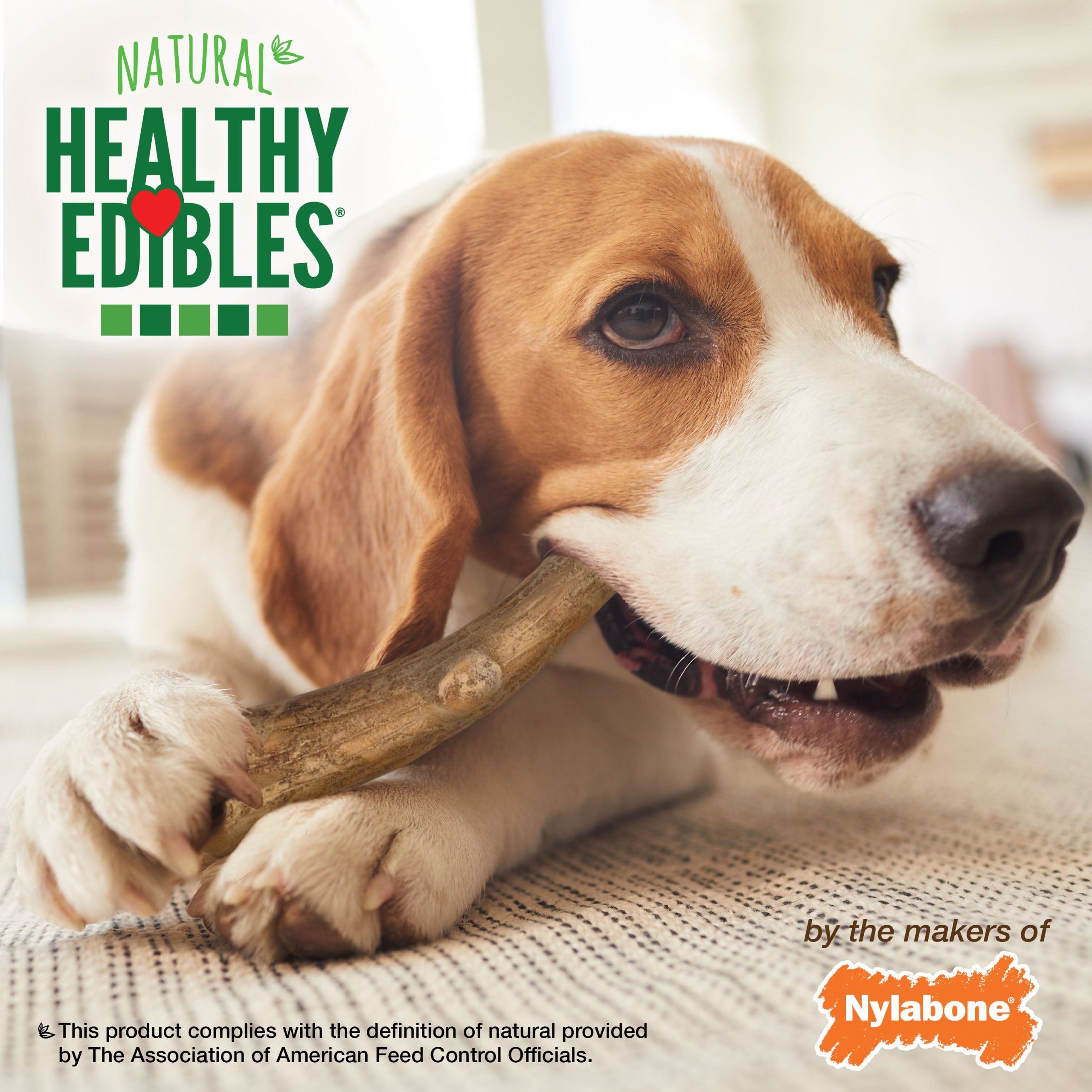 Nylabone Healthy Edibles WILD Antler Chew Venison, Large/Giant Dog Chews, 10 ct - Image 4