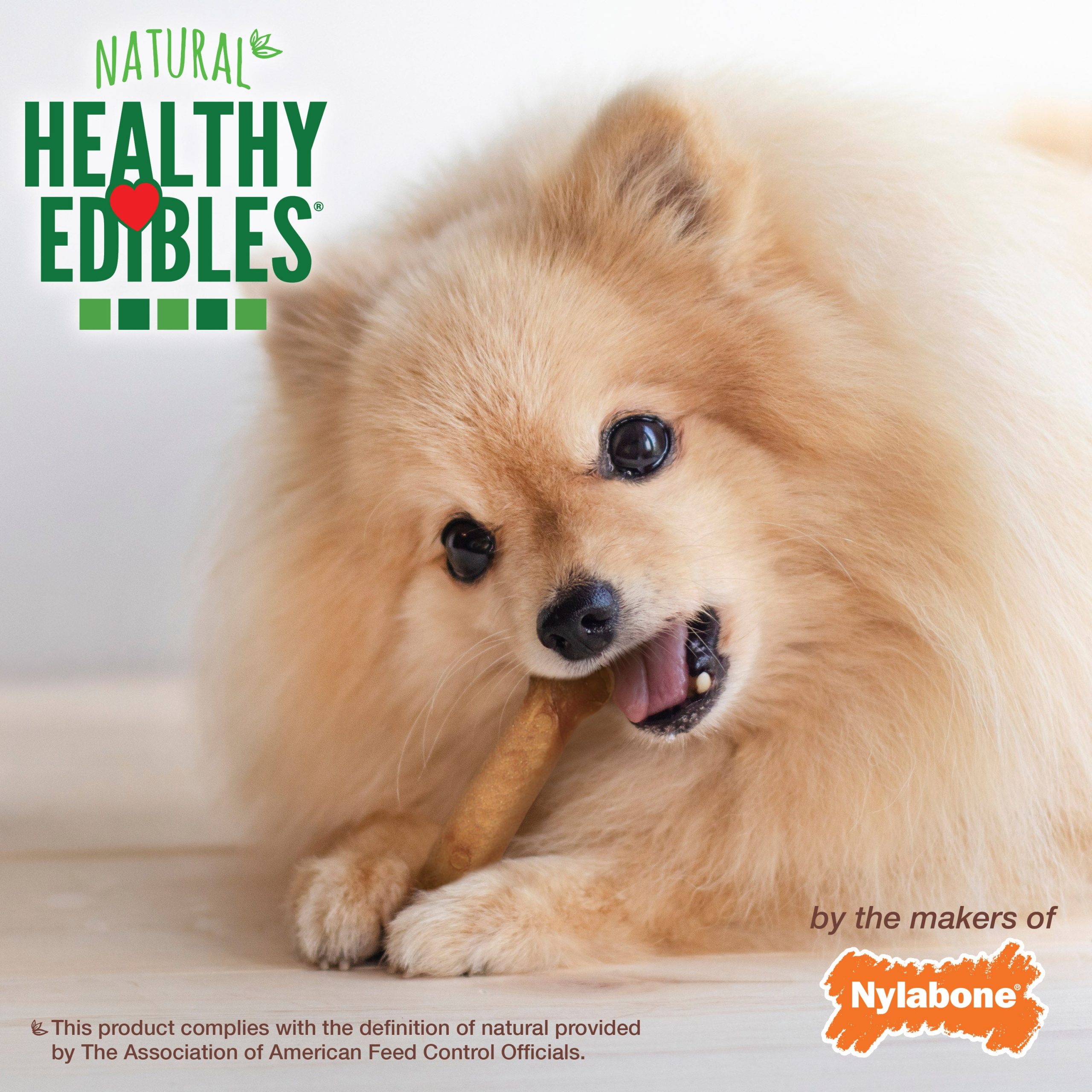 Nylabone Healthy Edibles Roast Beef & Chicken, XS/Petite Dog Chews, 48 ct - Image 6