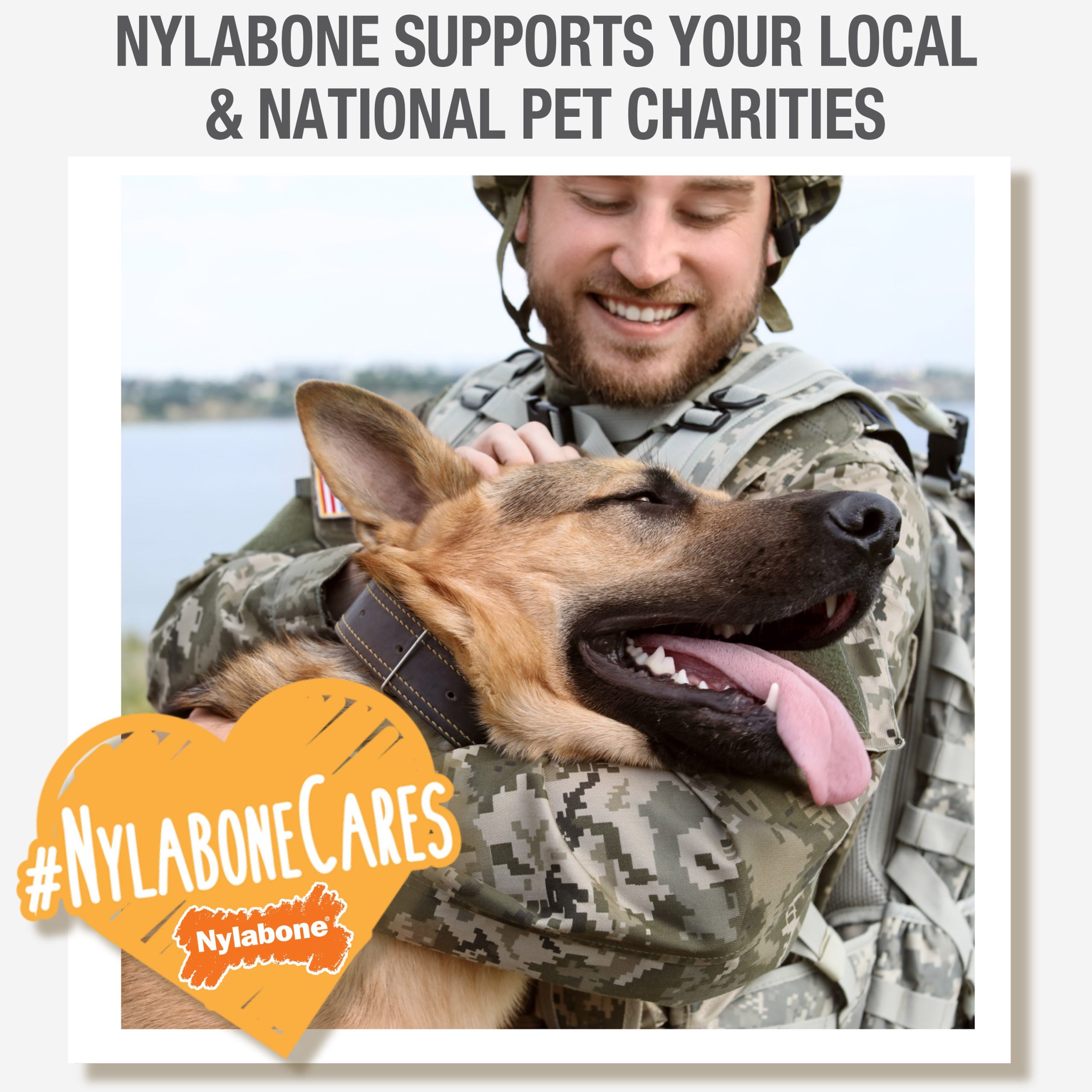 Nylabone Healthy Edibles Roast Beef & Chicken, XS/Petite Dog Chews, 48 ct - Image 8