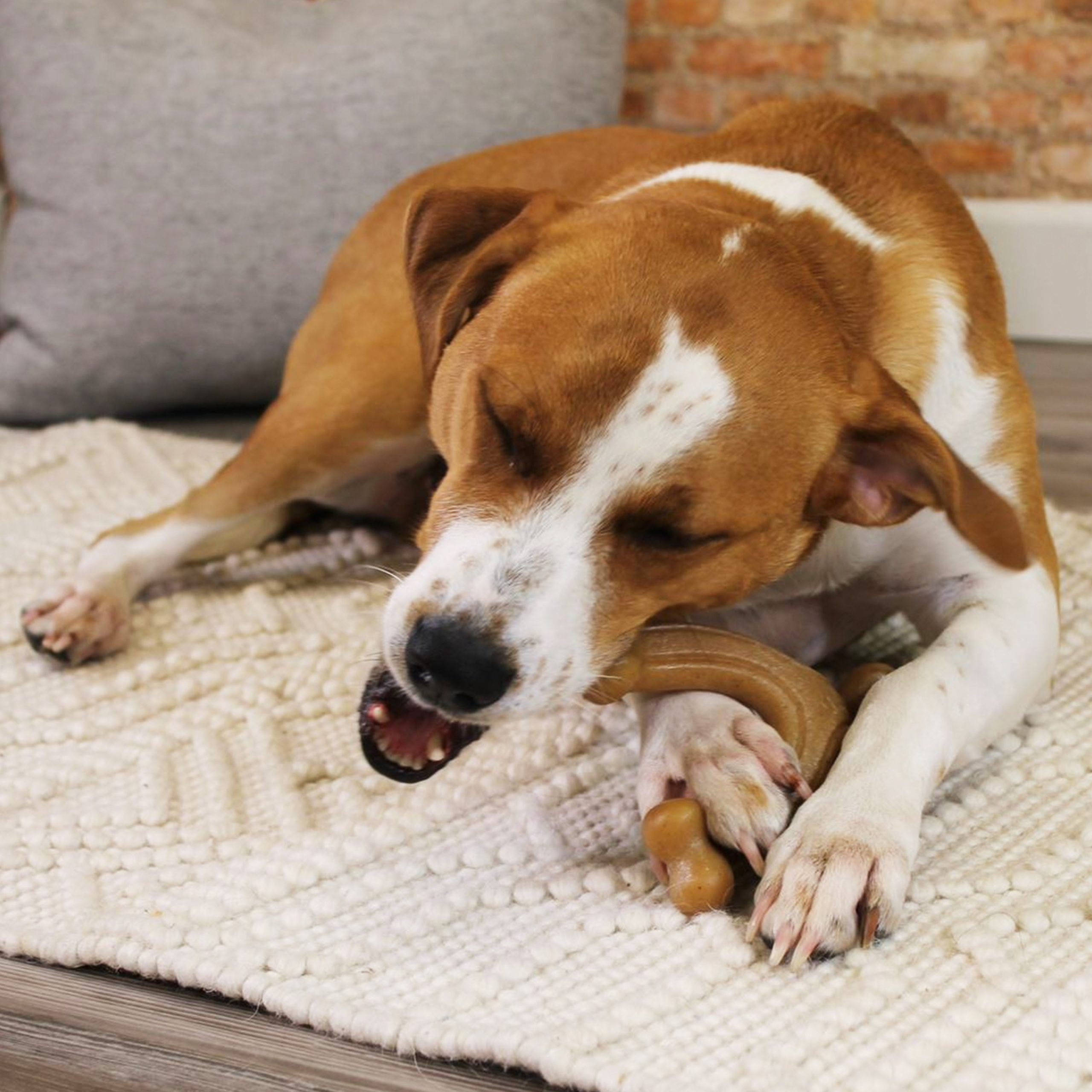 Nylabone Gourmet Style Strong Chew Wishbone, Bacon, Large/Giant - Image 4