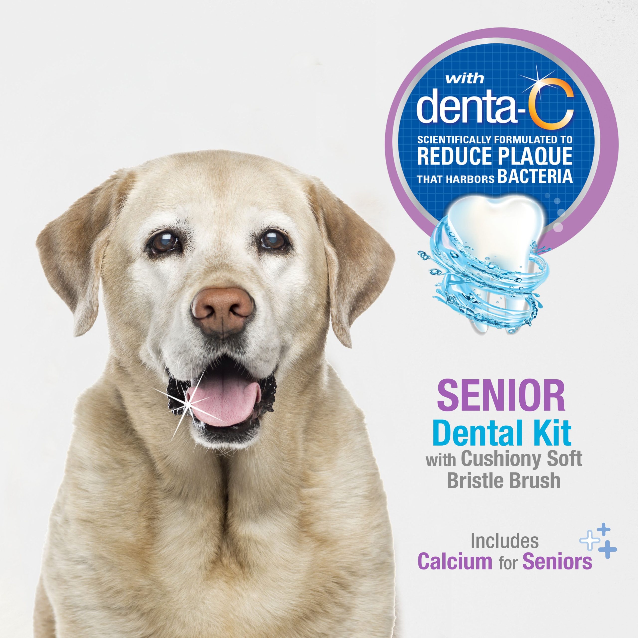 Nylabone Advanced Oral Care Senior Dog Dental Kit with Soft-Bristle Toothbrush - Image 2
