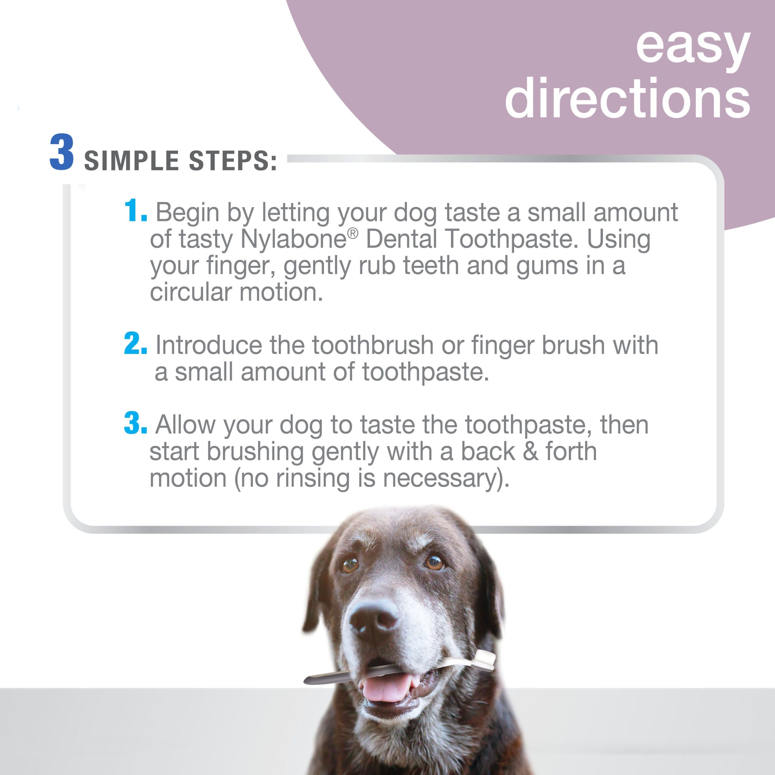 Nylabone Advanced Oral Care Senior Dog Dental Kit with Soft-Bristle Toothbrush - Image 6