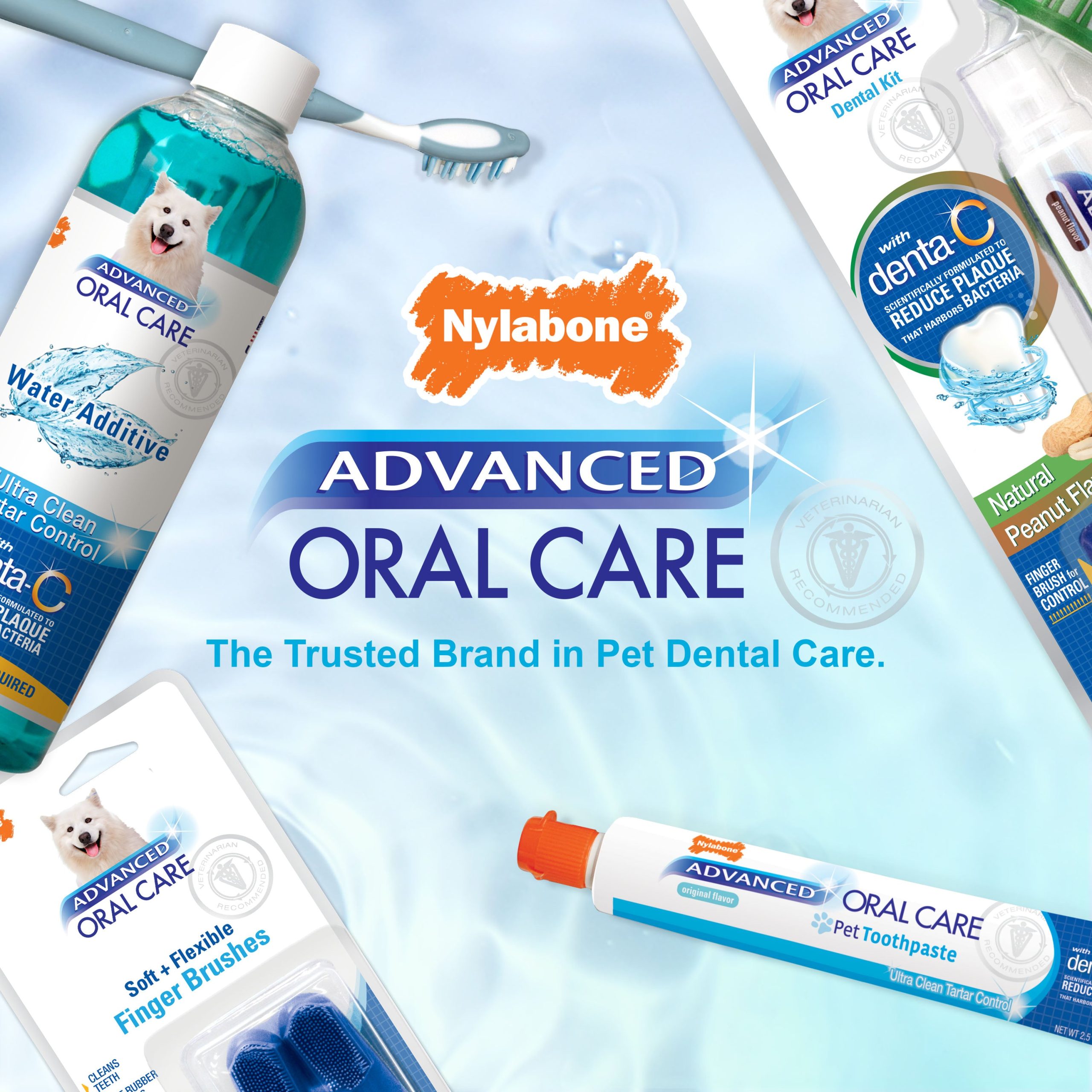 Nylabone Advanced Oral Care Senior Dog Dental Kit with Soft-Bristle Toothbrush - Image 7