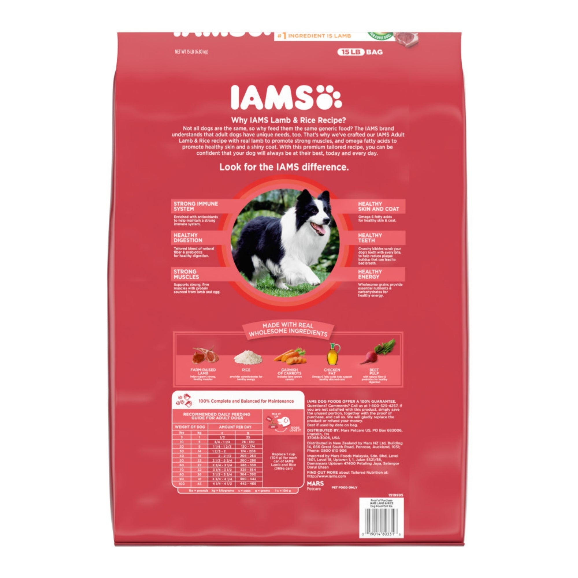 IAMS ProActive Health Adult Lamb MiniChunks Dry Dog Food, 15 lb - Image 2
