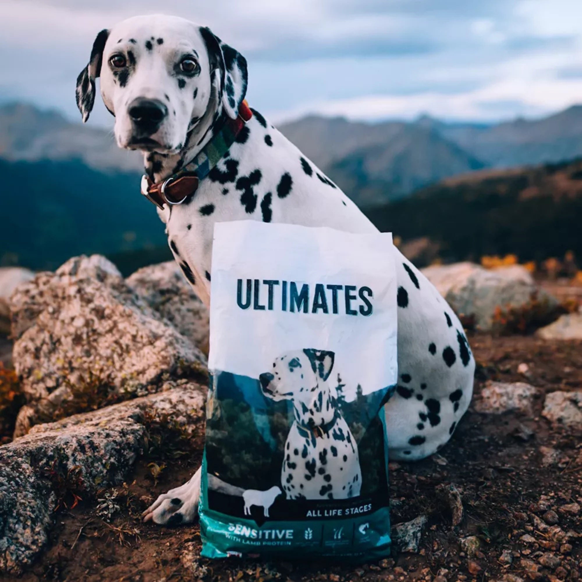 Pro Pac Ultimates Sensitive Lamb Dry Dog Food - Image 3