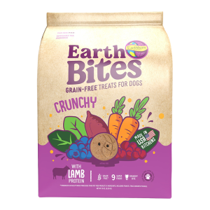 Earthborn Holistic EarthBites Crunchy Lamb & Pumpkin Dog Treats