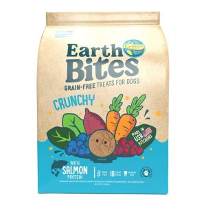 Earthborn Holistic Grain-Free EarthBites Salmon Dog Treats, 10 oz