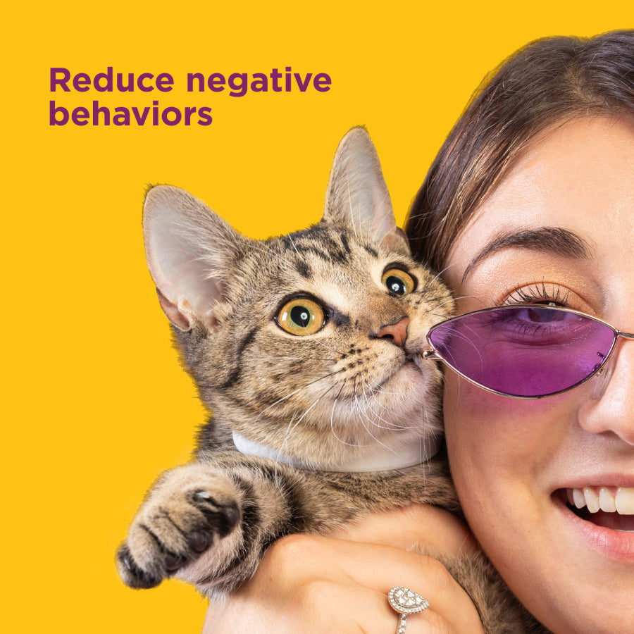 Comfort Zone Calming Collar for Cats - Image 4