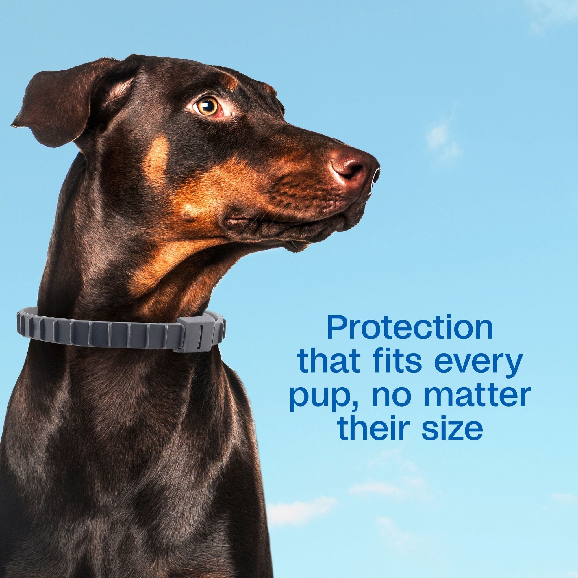 ADAMS Flea & Tick Adjustable Collar Plus for Dogs and Puppies - Image 3