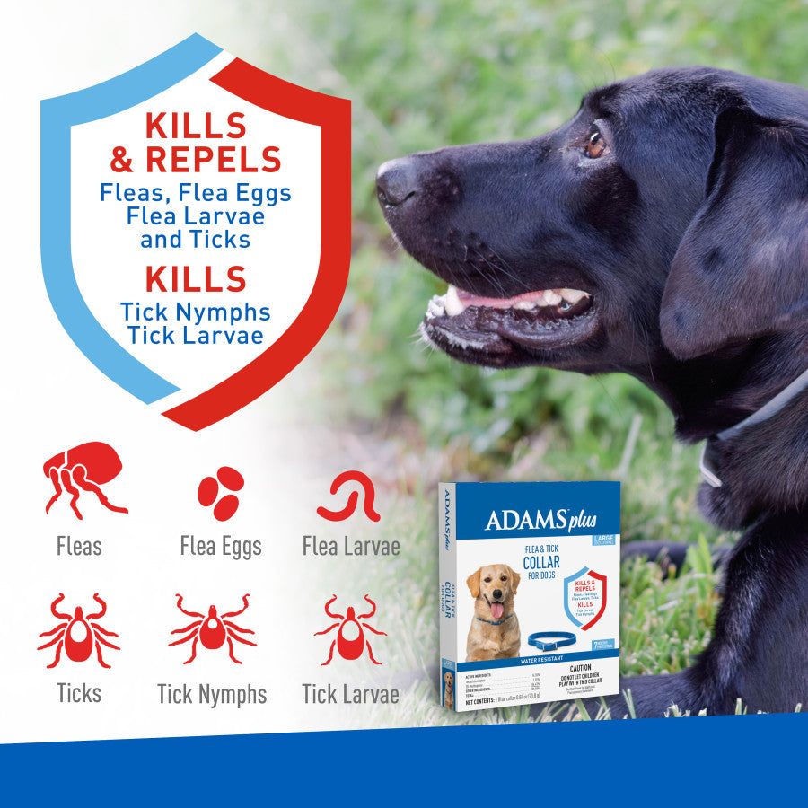 Adams Plus Flea & Tick Collar for Large Dogs - Image 5