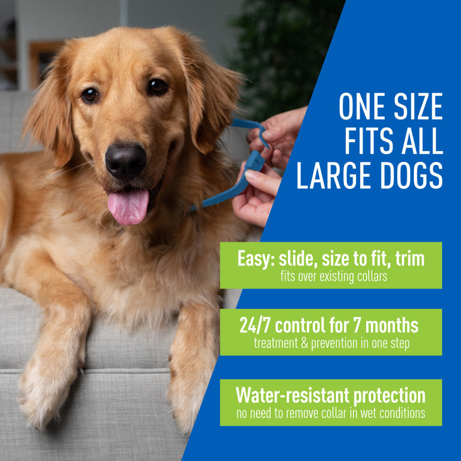 Adams Plus Flea & Tick Collar for Large Dogs - Image 4