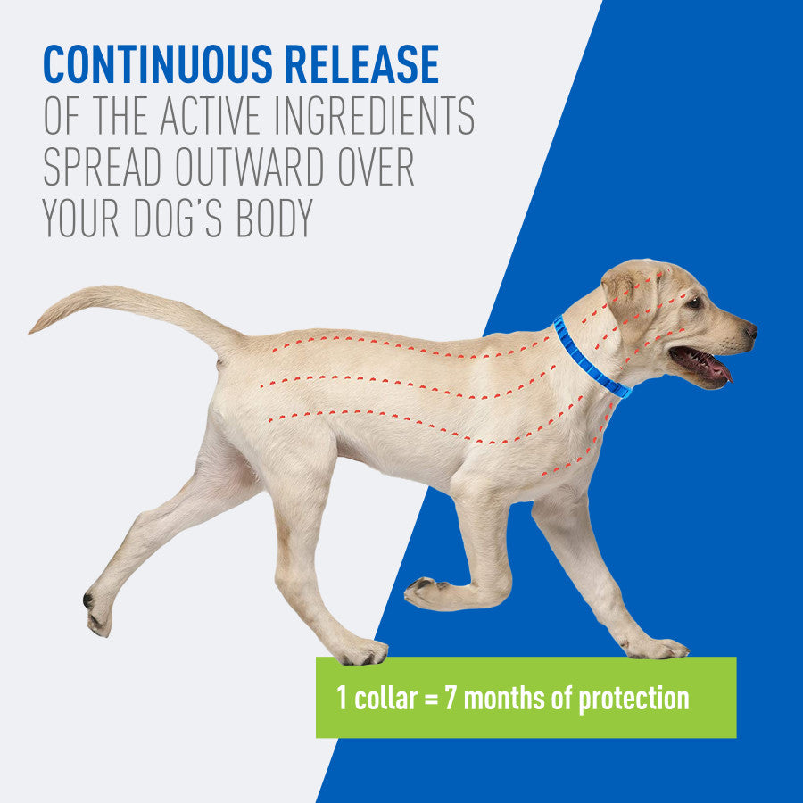 Adams Plus Flea & Tick Collar for Large Dogs - Image 3