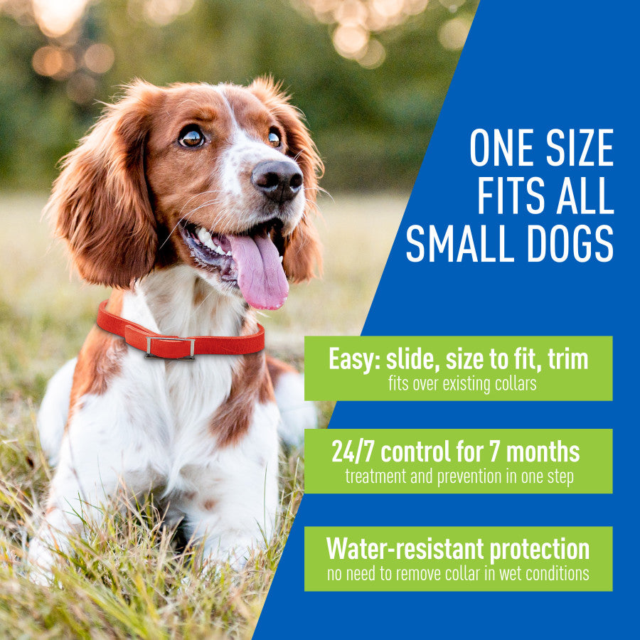 Adams Plus Flea & Tick Collar for Small Dogs - Image 5