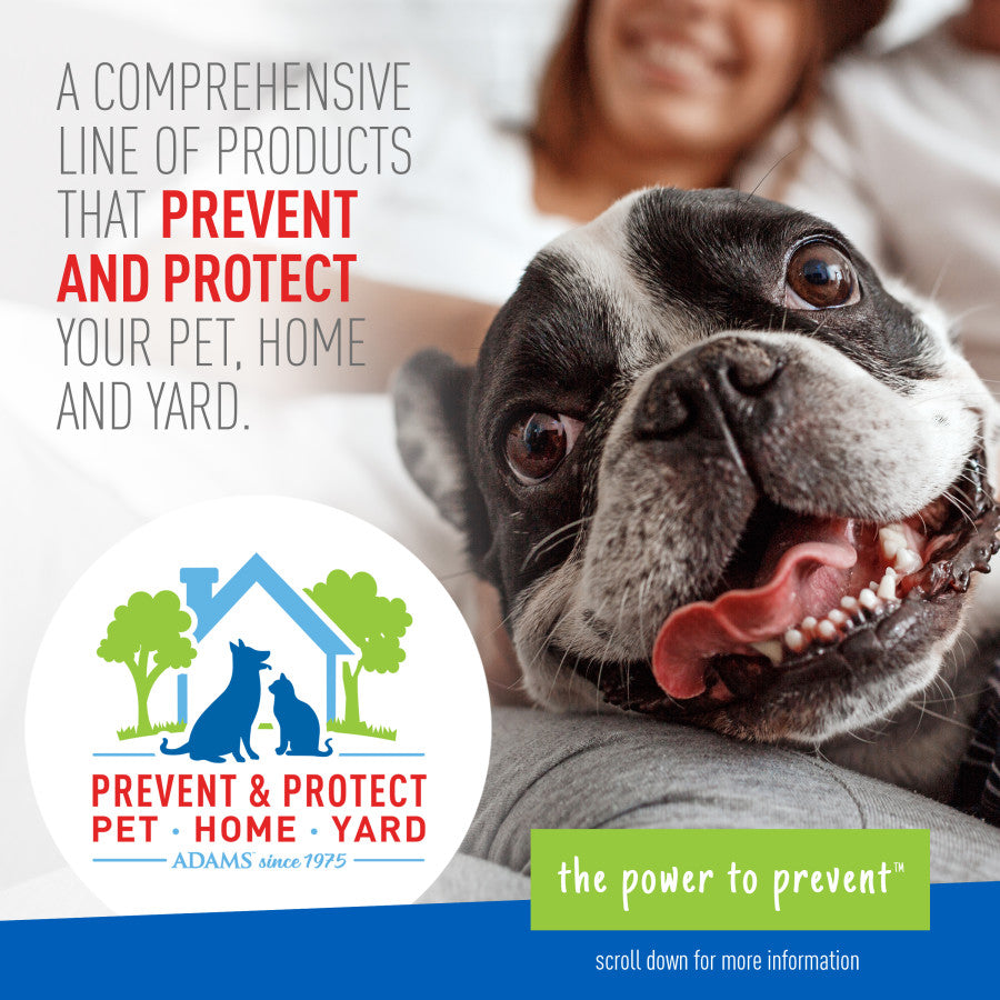 Adams Plus Flea & Tick Collar for Small Dogs - Image 2