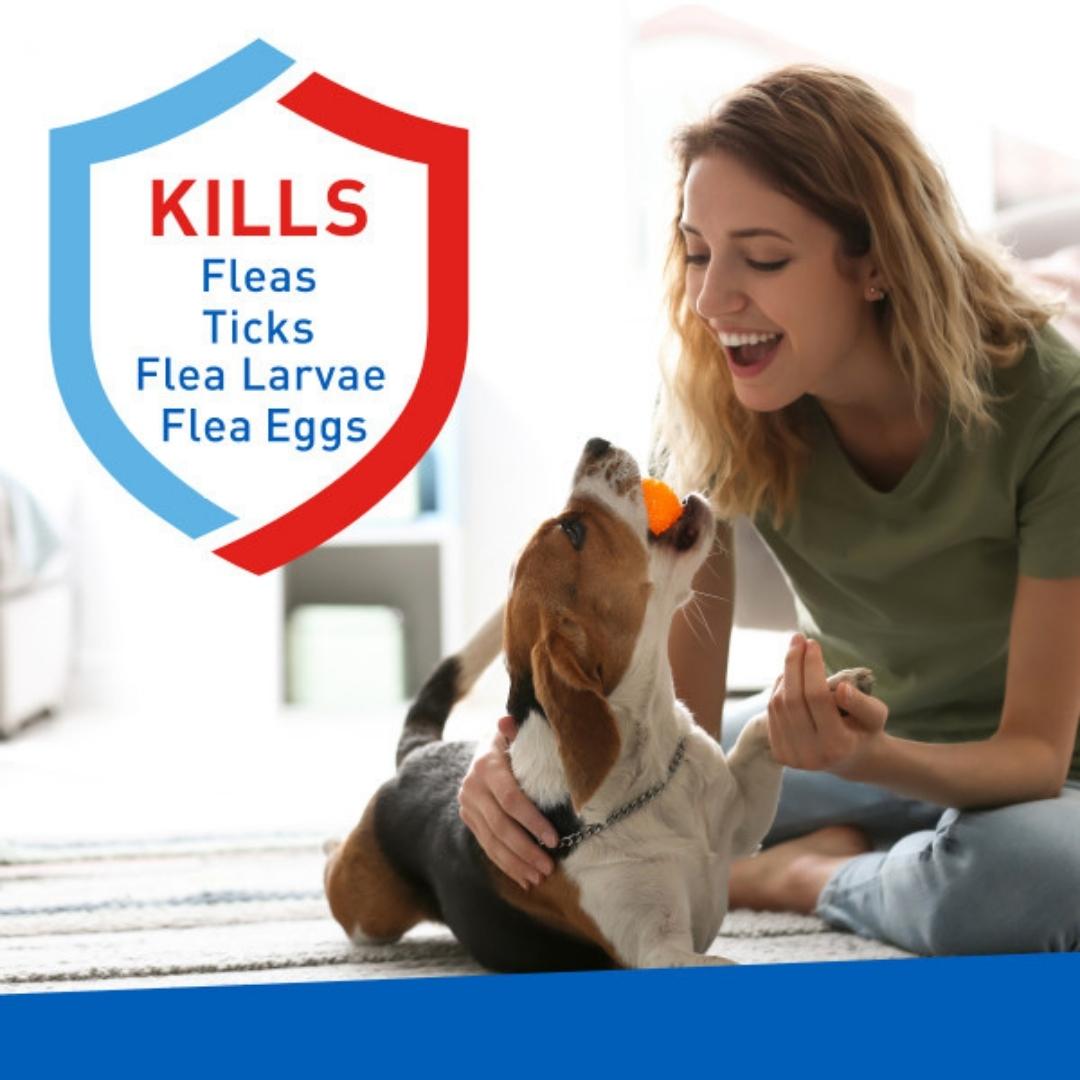 Adams Carpet Powder with Linalool and Nylar 16oz - Image 3