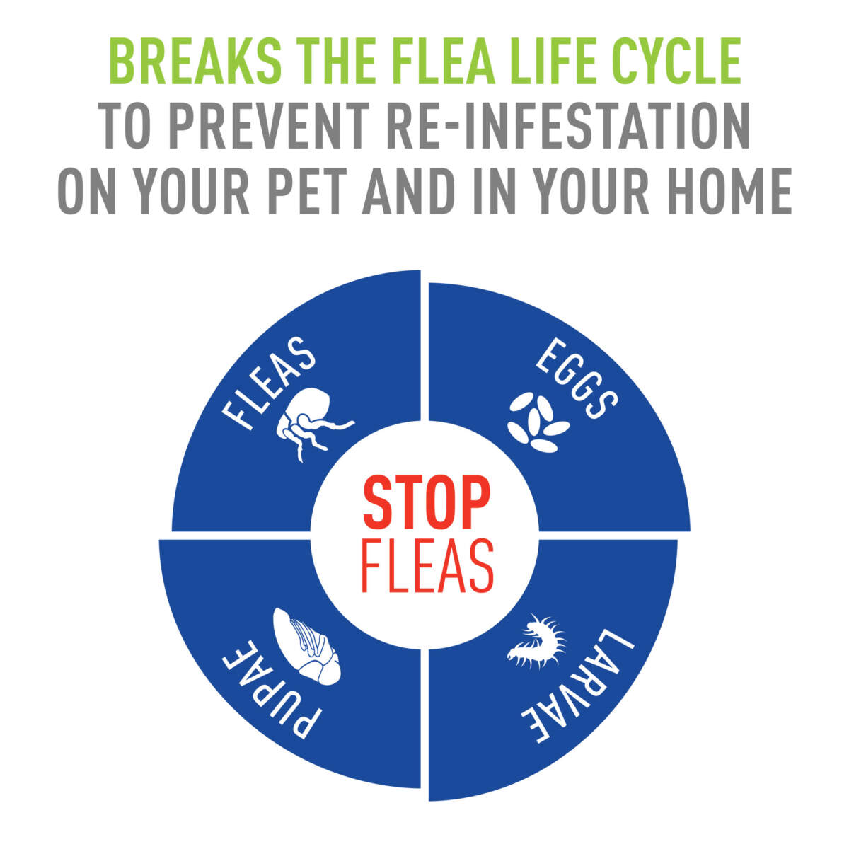 Adams Plus Flea & Tick Spray 16oz - Image 6