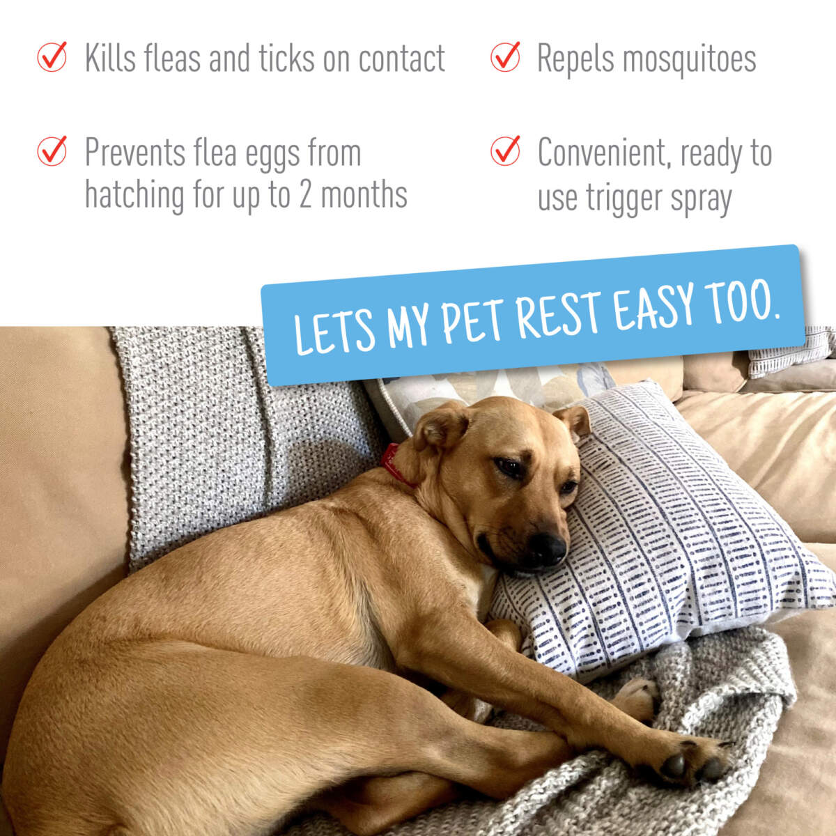 Adams Flea & Tick Spray 6ea/16oz - Image 4