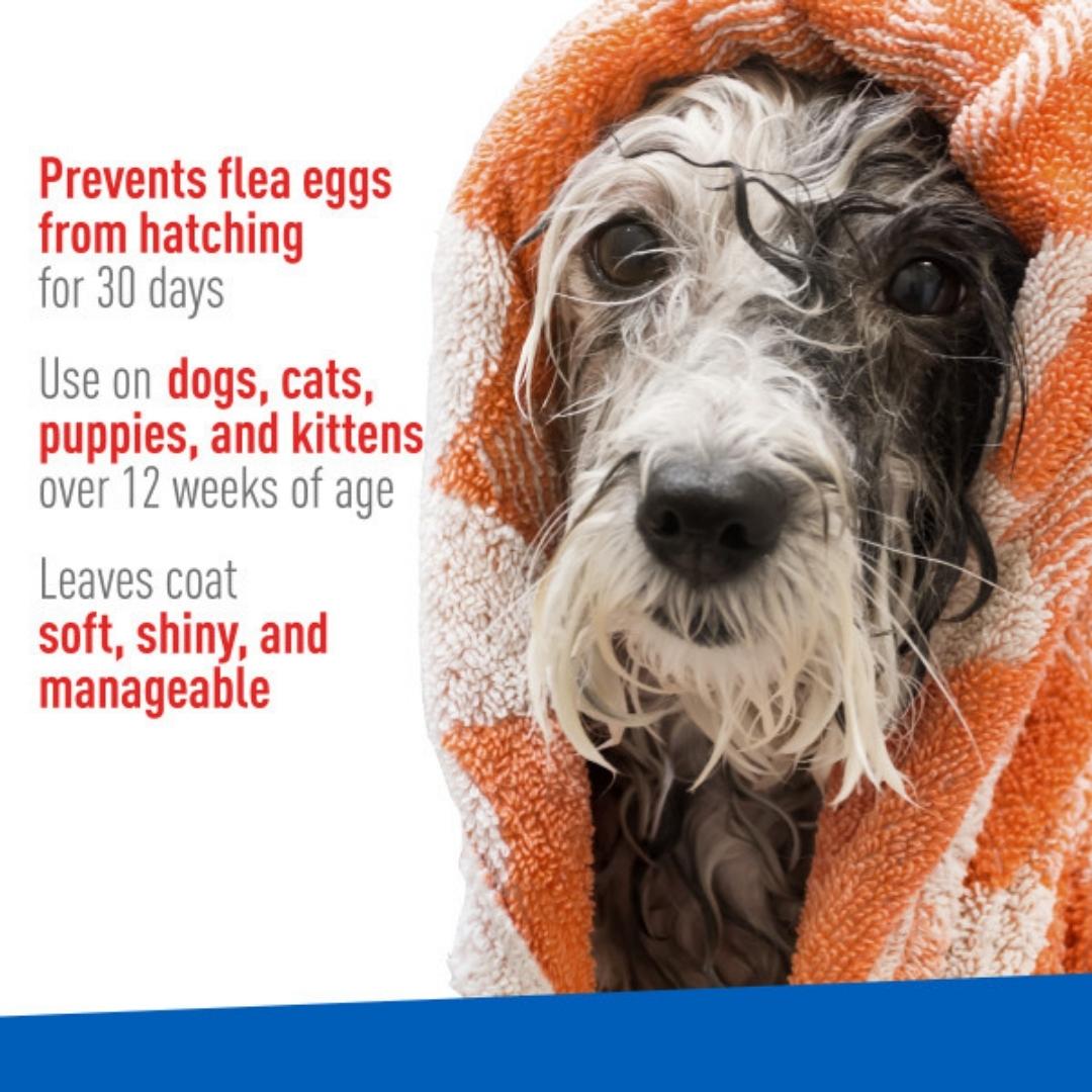 Adams Flea & Tick Cleansing Shampoo 12oz - Image 4