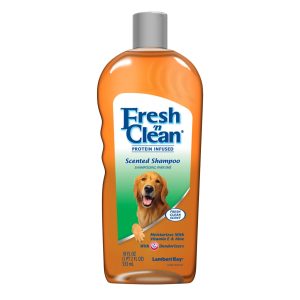 Fresh 'n Clean Protein Infused Fresh Clean Scent Shampoo 18oz