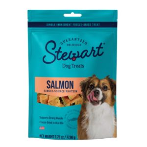 Stewart Freeze-Dried Single Ingredient Salmon Dog Treats