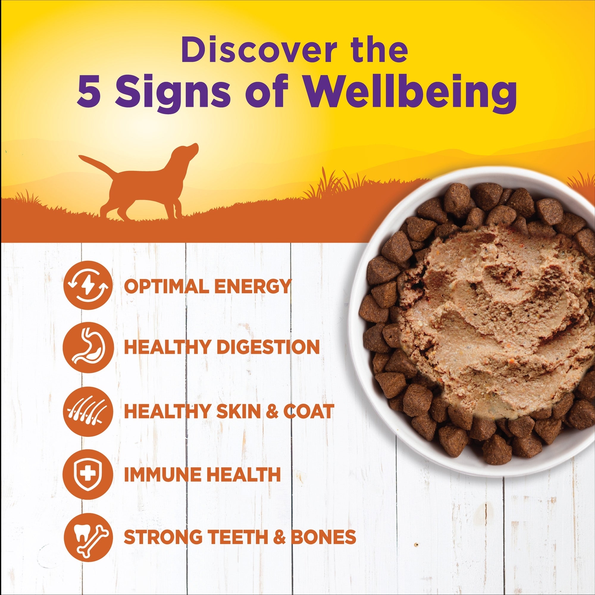 Wellness Complete Health Turkey & Sweet Potato Pâté, 12.5 oz (Case of 12) - Image 2