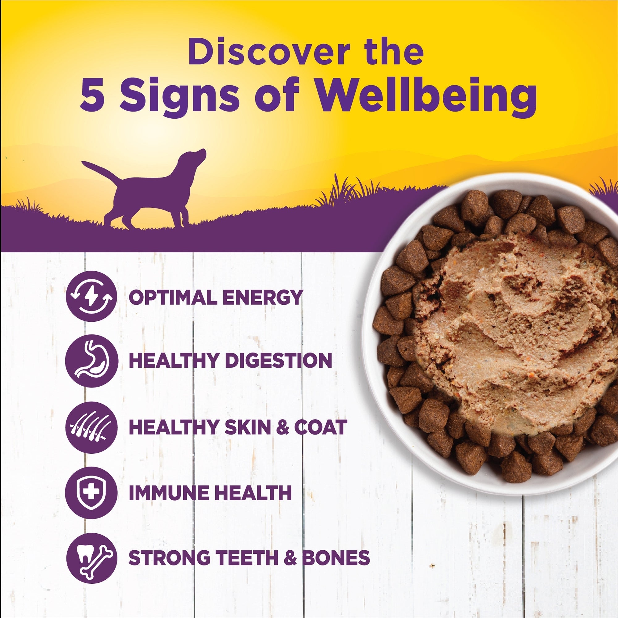 Wellness Complete Health Chicken & Sweet Potato Pâté, 12.5 oz (Case of 12) - Image 2