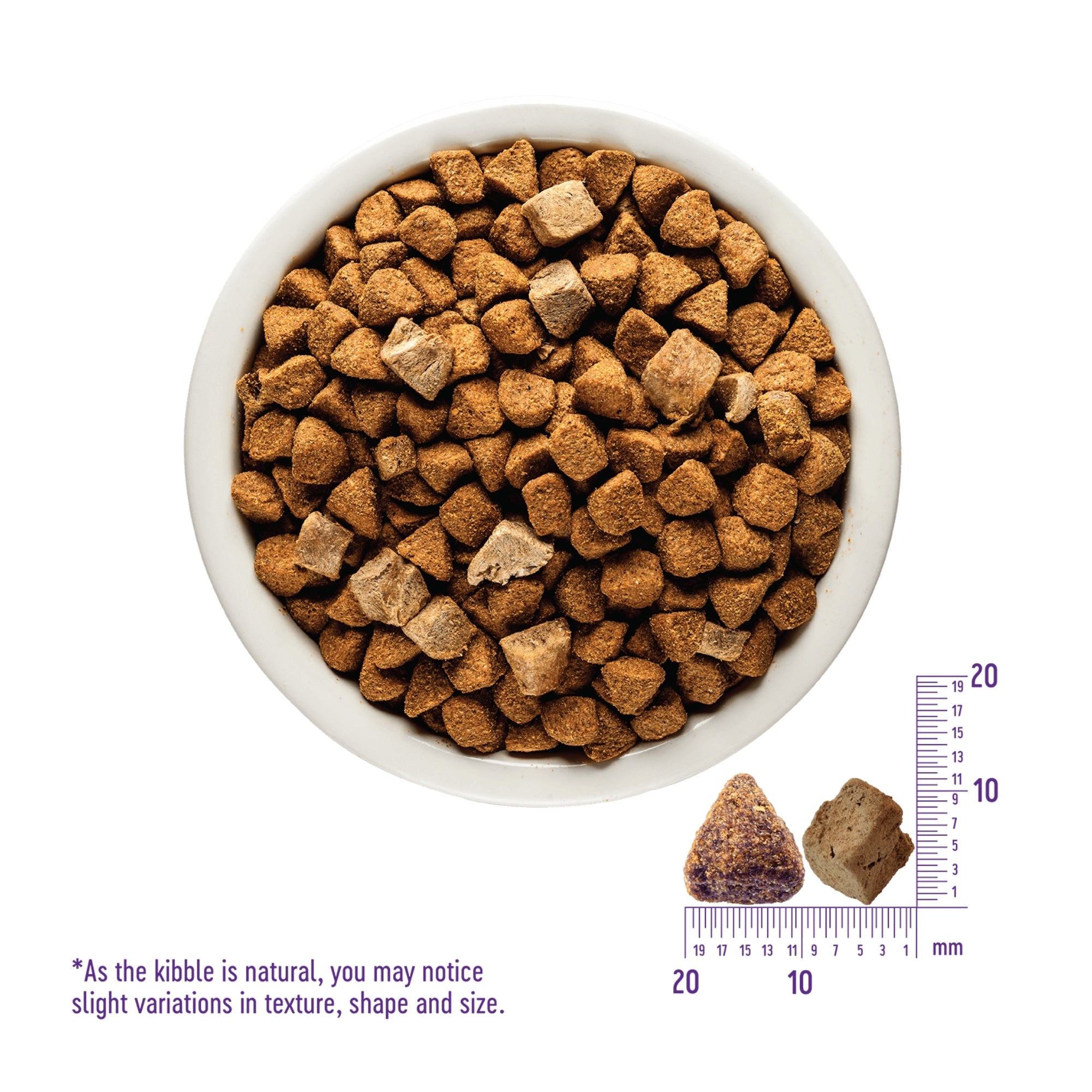 Wellness CORE RawRev Wild Game Dry Dog Food - Image 5
