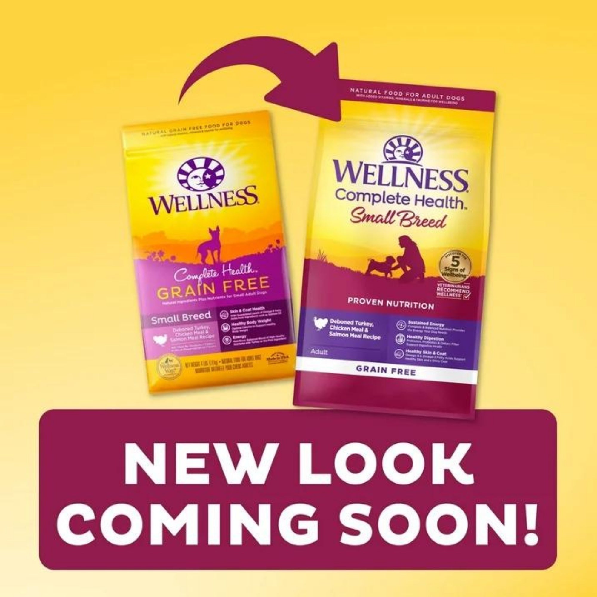 Wellness Complete Health Small Breed Turkey, Chicken & Salmon Dog Food, 11 lb - Image 4