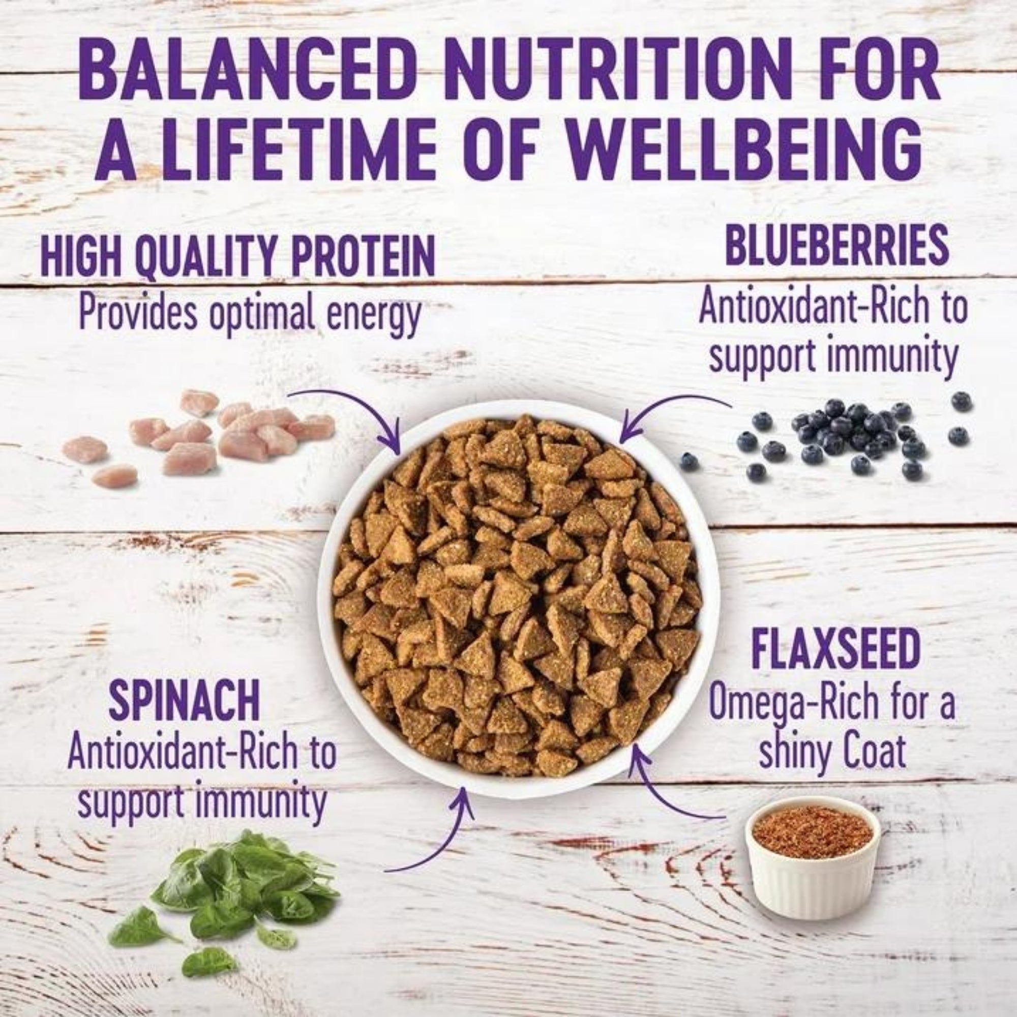 Wellness Complete Health Small Breed Turkey, Chicken & Salmon Dog Food, 11 lb - Image 2