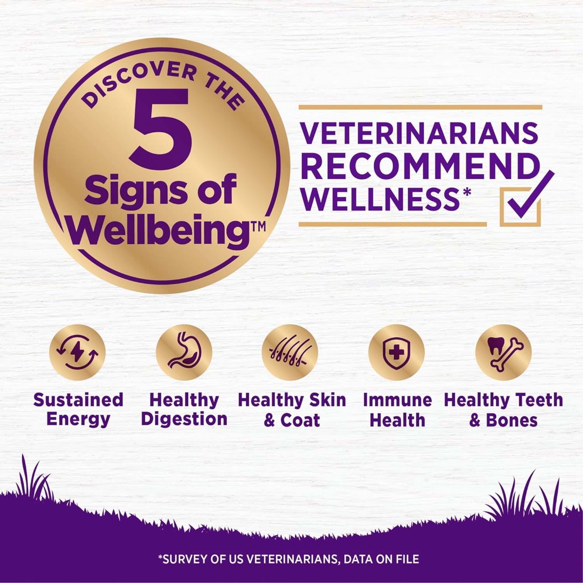 Wellness Complete Health Adult Beef & Barley Dry Dog Food - Image 4