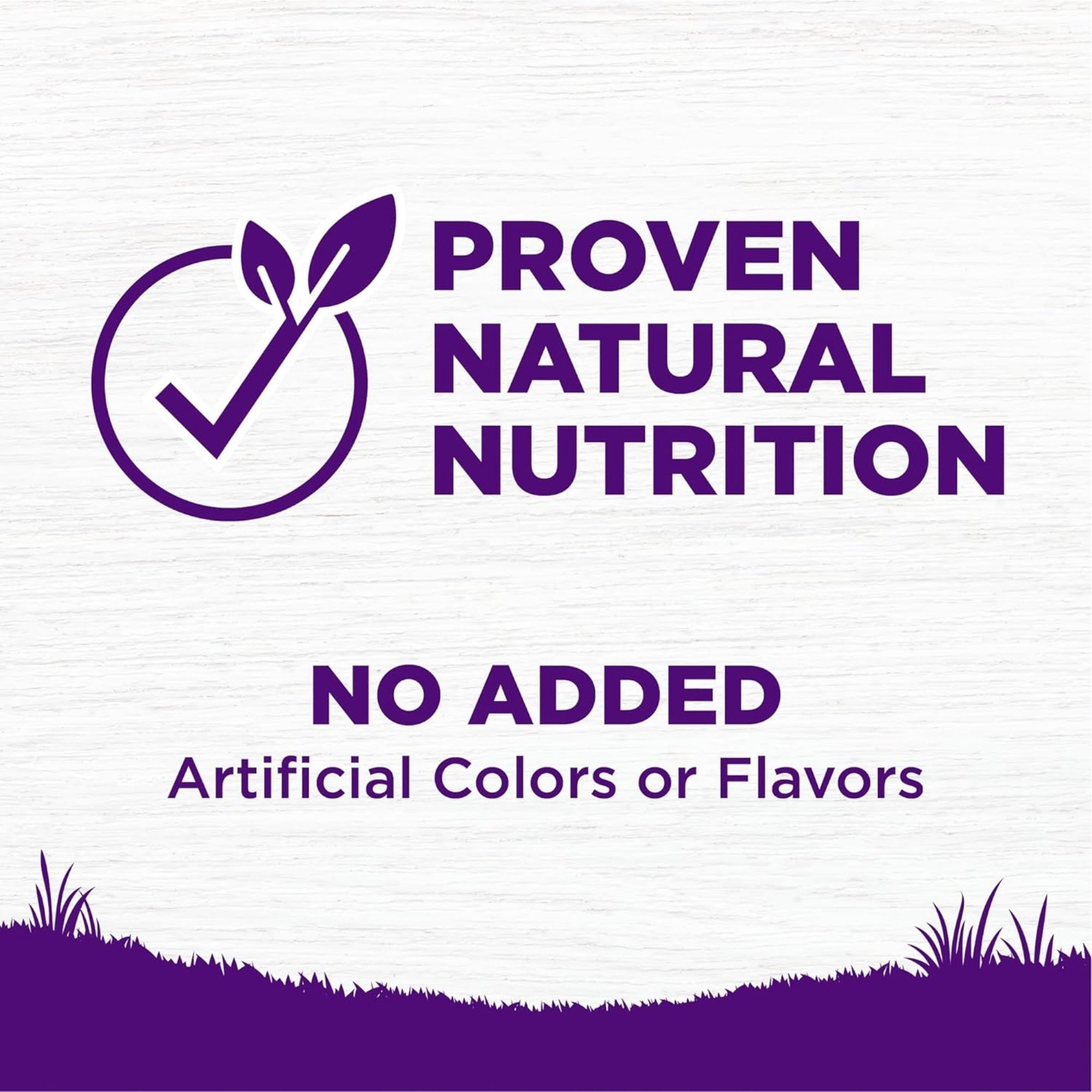 Wellness Complete Health Adult Beef & Barley Dry Dog Food - Image 2