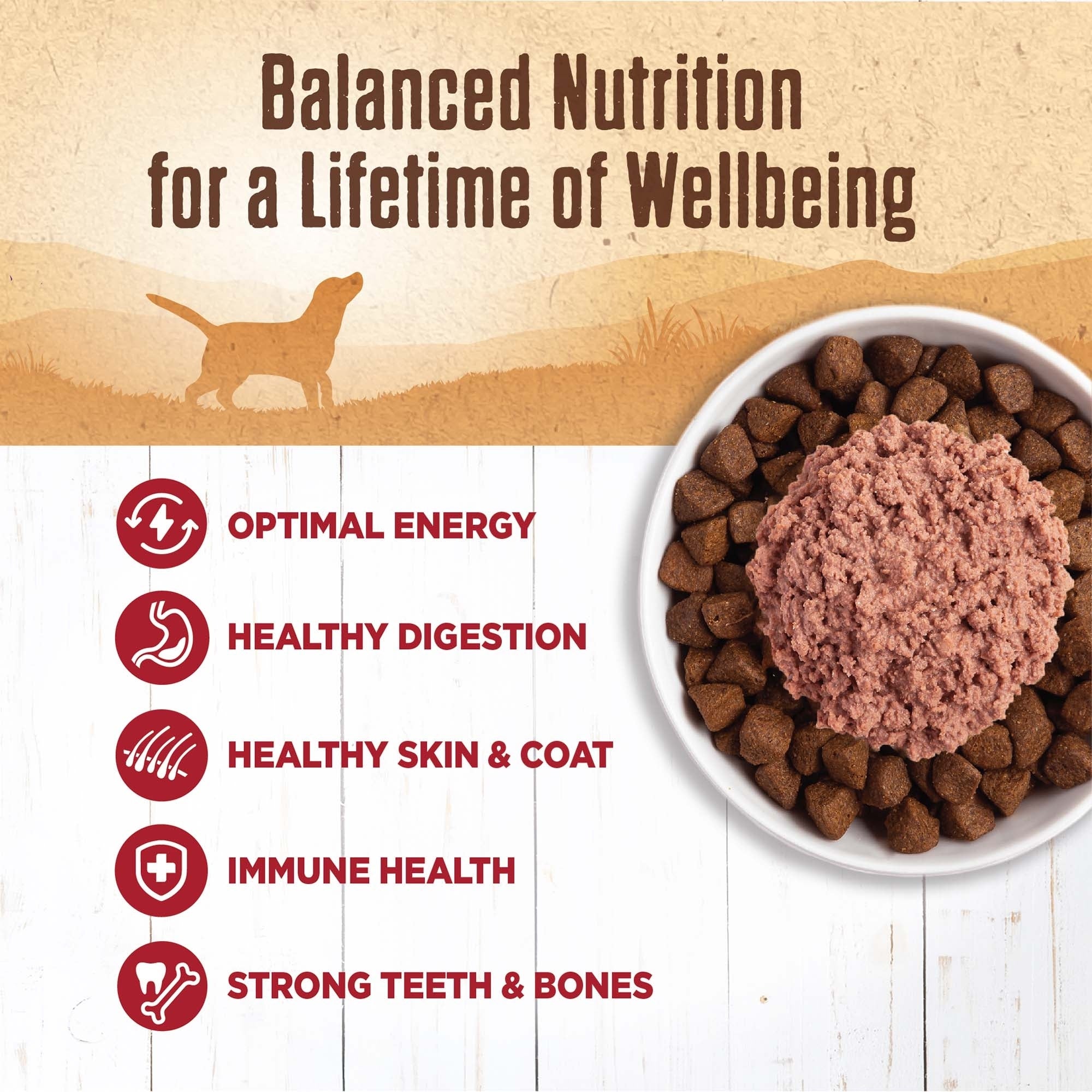 Wellness Complete Health 95% Beef Wet Dog Food, 13.2 oz (Case of 12) - Image 2
