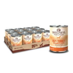 Wellness Complete Health 95% Turkey Wet Dog Food, 13.2 oz (Case of 12)