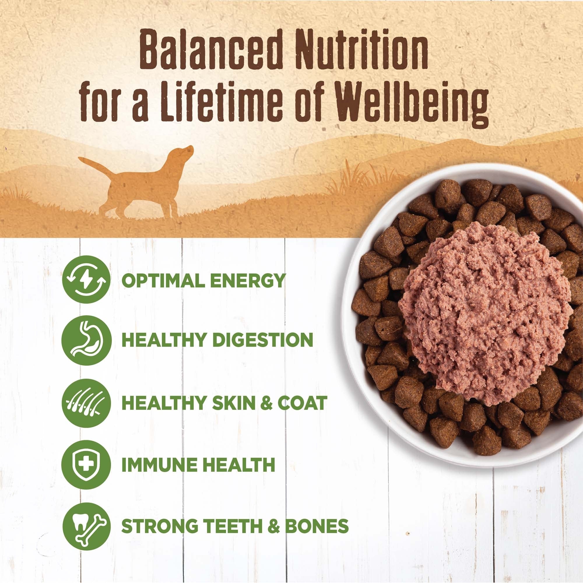 Wellness Complete Health 95% Lamb Wet Dog Food, 13.2 oz (Case of 12) - Image 2