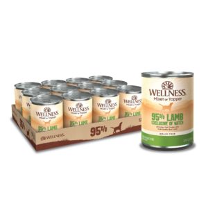 Wellness Complete Health 95% Lamb Wet Dog Food, 13.2 oz (Case of 12)