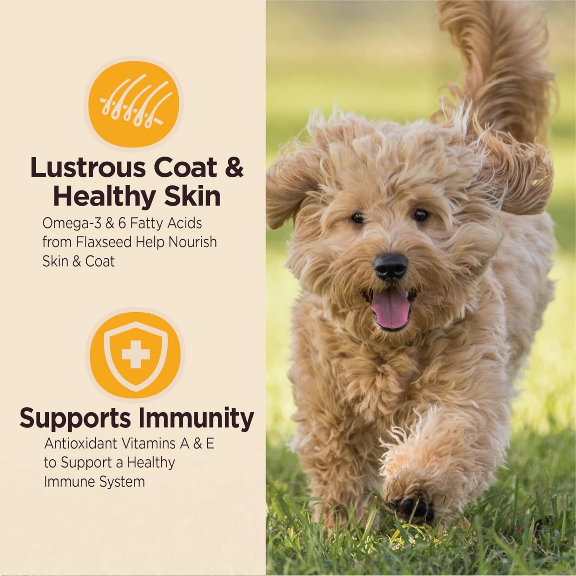 Wellness CORE Digestive Health Puppy Chicken & Brown Rice Dry Dog Food, 4 lb - Image 2