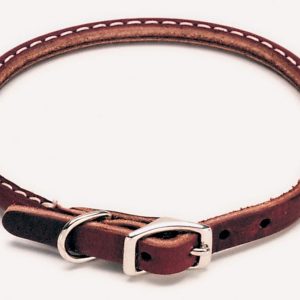 Coastal Circle T Latigo Leather Round Dog Collar