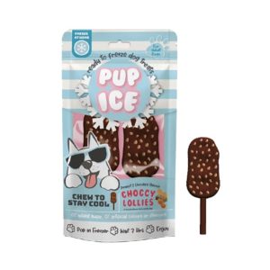 Ethical Pet Pup Ice Choccy Lollie Pop Peanut & Chocolate Flavor Treats, 2 Pack