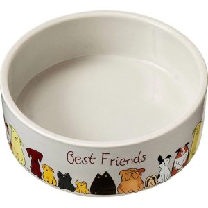 Spot Best Friends Dog Dish