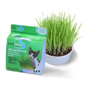 Van Ness Pureness Oat Grass Garden Kit