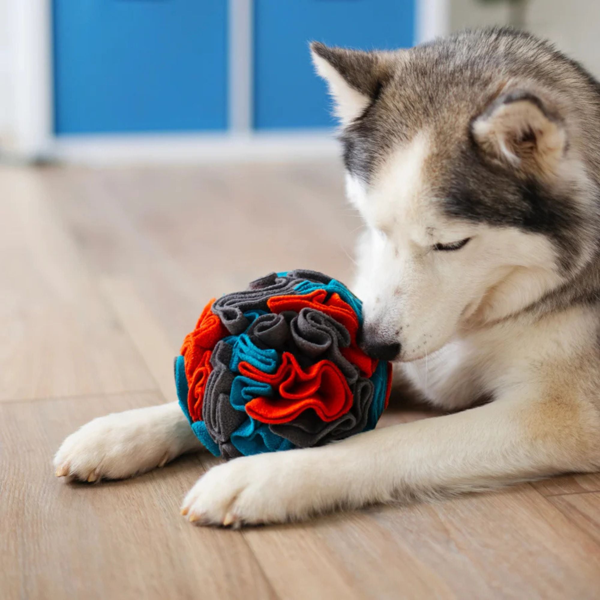 Messy Mutts Dog Forage Ball Large - Image 2