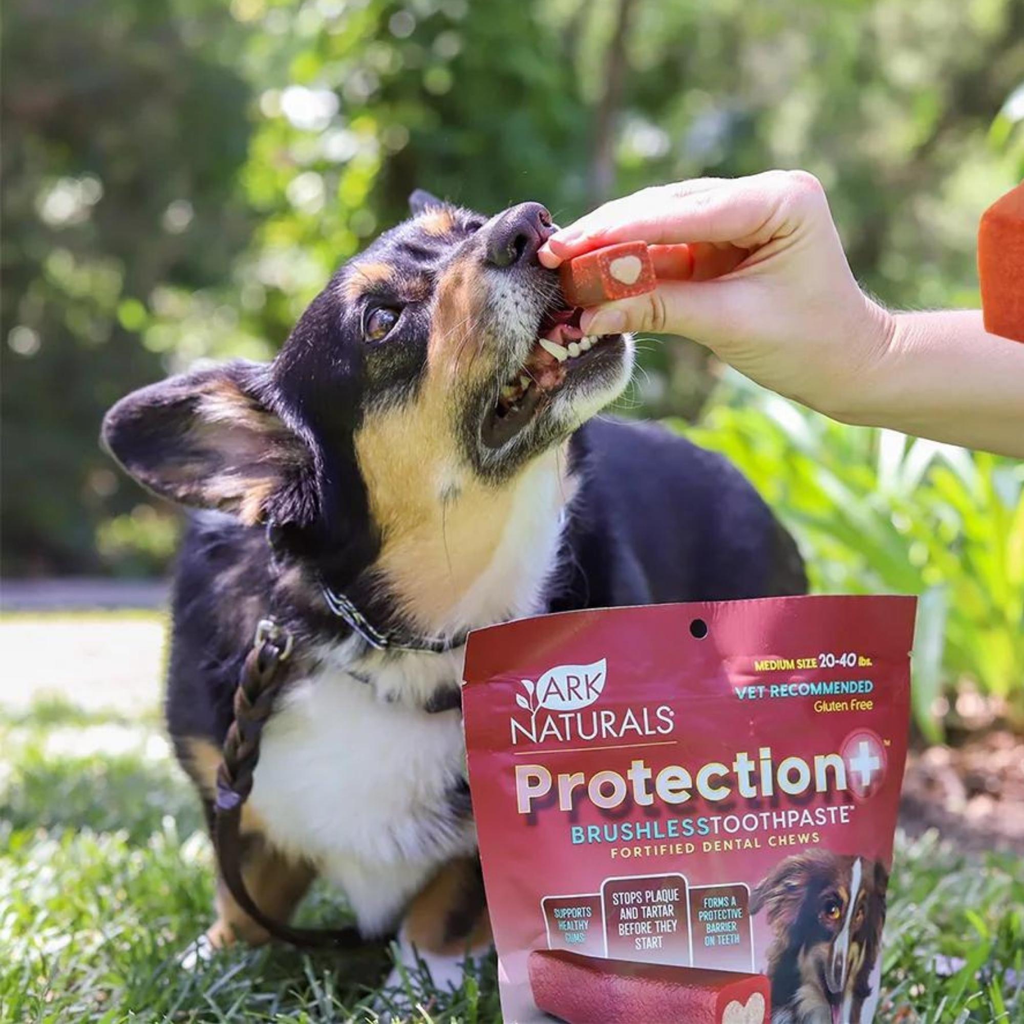 Ark Naturals Protection+ Toothpaste 5 In1 1 Lb 2oz. Bag Medium Chews - Image 2