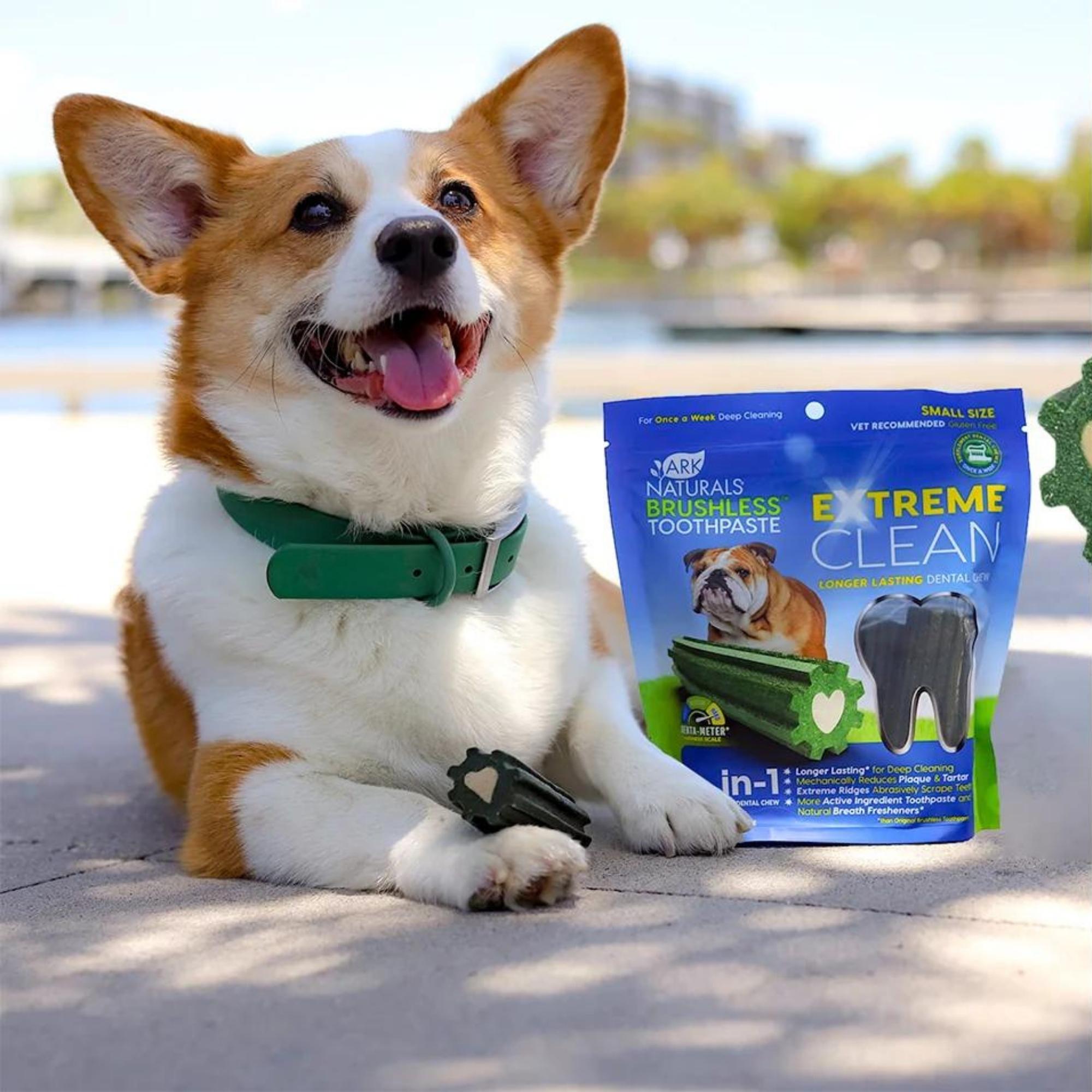 Ark Naturals Dog Brushless Toothpaste Extreme Clean Small 12oz. - Image 3