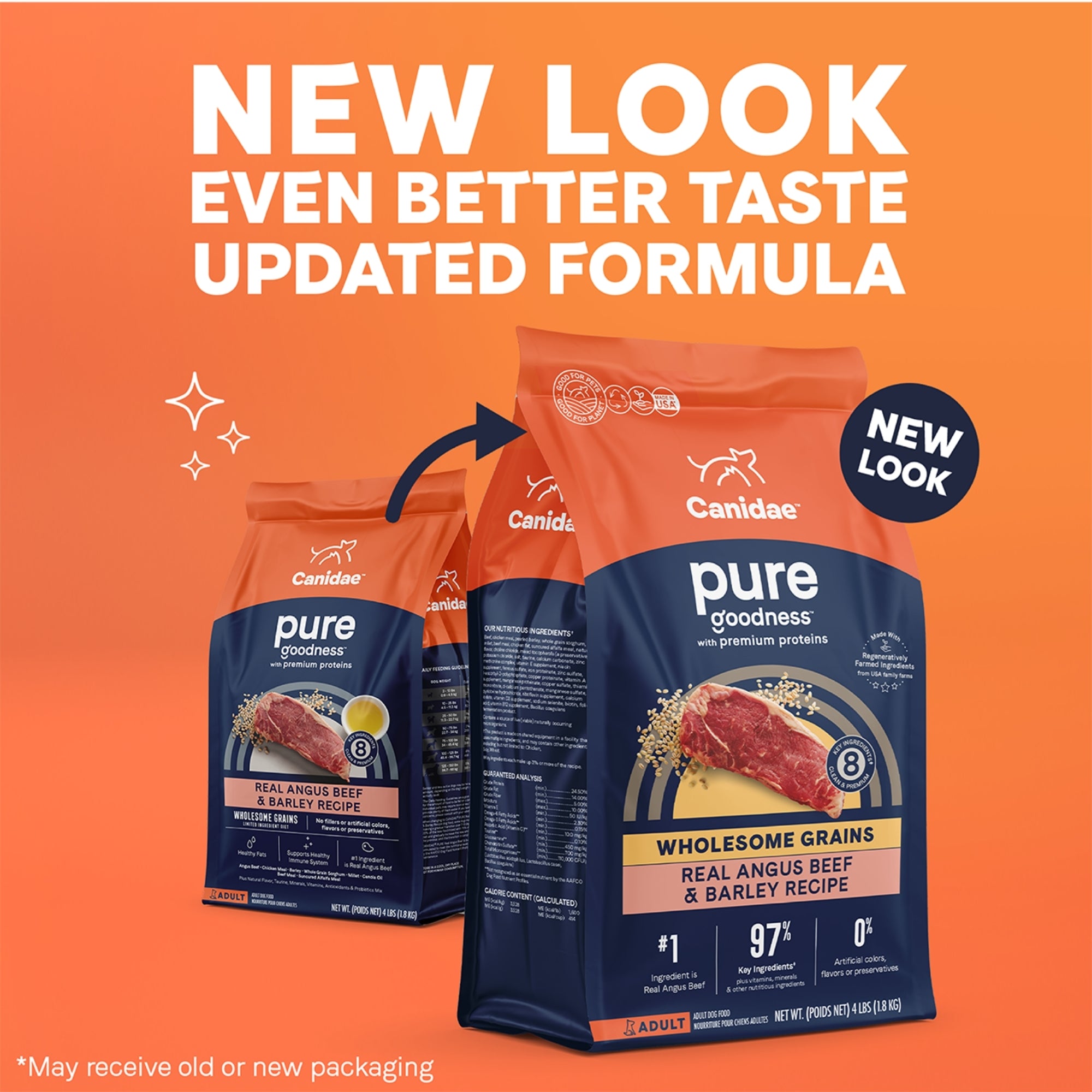 CANIDAE PURE Wholesome Grains Dry Dog Food, Beef & Barley - Image 3