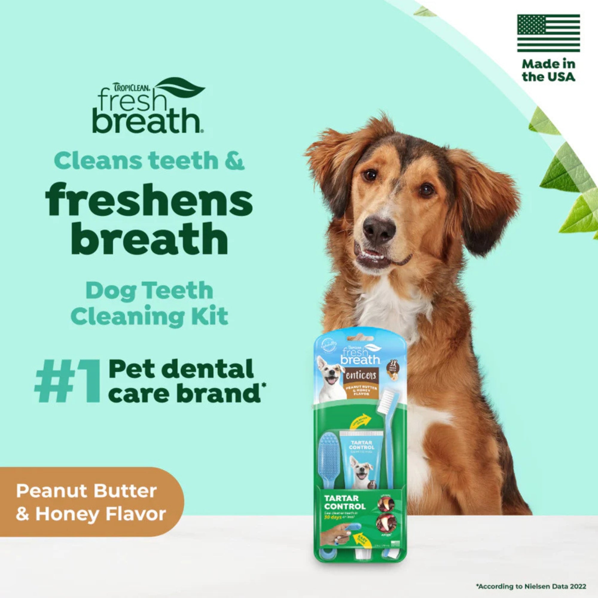 TropiClean Fresh Breath Enticers Tartar Control Kit Peanut Butter & Honey 2oz - Image 3